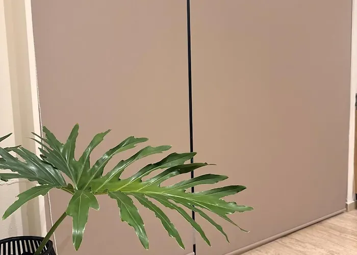 Loft In Roma Norte, Cidade do México